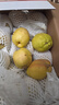 京鲜生 新疆库尔勒香梨 净重10斤 特级 单果120g以上 生鲜水果 实拍图