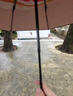 蕉下（beneunder）防紫外线遮阳伞三折双层黑胶晴雨伞防晒伞BM664嬉柚 实拍图