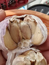 大蒜头出口品质网兜紫蒜蔬菜调料新鲜大果烧烤火锅食材 【精品网兜装】5头装 150g 实拍图