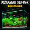疯狂水草（FKSC）鱼缸水草蜈蚣草鱼缸造景专用真水草懒人水培植物净化水质直接入缸 百花争艳组合【适合30-40缸】（送营养液 实拍图