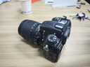 尼康/Nikon D7000 D7100 D7200 D500 D610 半画幅中端二手单反数码相机 D7000/18-105套机 95成新 实拍图