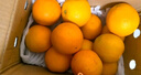 京鲜生红都品冠25.3°赣南脐橙 6斤 铂金果 单果180-230g 生鲜水果礼盒 实拍图