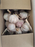 京鲜生山东金乡大蒜带皮新鲜干蒜净重3斤单果4.5cm起源头直发包邮 实拍图