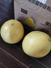 京鲜生 梅州白心蜜柚2粒装 净重4-4.5斤  白肉柚子水果 源头直发包邮 实拍图
