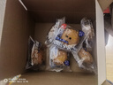 泓一海苔肉松小贝 蛋糕面包早餐点心休闲零食代餐下午茶点心480g 实拍图