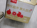 京鲜生 广西砂糖橘 净重4.5斤 单果45-55mm  生鲜礼盒 源头直发包邮 实拍图