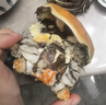 【活蟹】蟹宗大闸蟹鲜活螃蟹河蟹全母4.5-4.8两8只海鲜水产生鲜节日送礼礼品礼盒 实拍图
