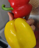 京鲜生山东双色五彩椒净重2.5斤装 单果120g起 圆椒甜椒 源头直发 实拍图