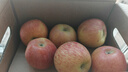 京鲜生 塞外红 阿克苏苹果礼盒 净重5斤 果径80-85mm  实拍图