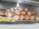 九華粮品散养土鸡蛋40枚 净重3斤 农家柴鸡蛋 笨鸡蛋 月子蛋 实拍图