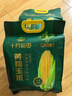 十月稻田 四平黄糯玉米 3.52斤(220g*8根)东北玉米棒 低脂早餐 零食 实拍图