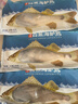 仙泉湖冷冻白蕉海鲈鱼2斤 肉厚刺少生鲜水产食材1斤*2条 生鲜食材 实拍图