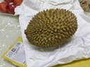 京鲜生马来西亚D197猫山王榴莲冷冻4-4.5斤保4房新鲜水果 实拍图