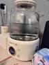 九阳全玻璃养生壶 0胶水煮茶壶煮茶器 办公室花茶壶养生烧水壶炖煮壶一体养生电炖杯电热杯WY101 【配316L茶篮】WY101 1L 实拍图