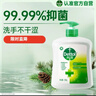 滴露（Dettol）洗手液松木500g瓶 健康抑菌消毒非补充装 儿童家庭用清爽去油 实拍图