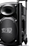 索爱（soaiy）15吋广场舞音响大功率便携式户外重低音蓝牙k歌大音量移动拉杆音箱室外演出设备双话筒A90 实拍图