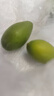 鲜木正常发货500g潮汕金灶特产青橄榄果现摘新鲜甜种橄榄柑榄青果无渣 1斤 实拍图