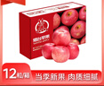 京鲜生 烟台红富士苹果 净重5.2斤/12粒  单果190-240g  水果礼盒 实拍图