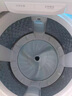 小天鹅（LittleSwan）波轮洗衣机全自动 12公斤大容量 小乌梅轻奢版【TB12VE20DW】水魔方防缠绕 家电国家补贴20% 实拍图