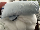 安睡宝（SOMERELLE） 进口七孔纤维枕头全棉A类抗菌酒店护颈椎枕芯睡眠枕靠枕可水洗 升级抗菌进口七孔枕蓝-低枕 单只 一只装 实拍图