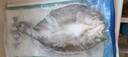 仙泉湖三去白蕉海鲈鱼1斤/条净膛冷冻刺少肉厚珠海特产500g生鲜食材 实拍图