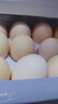 九華粮品有机富硒土鸡蛋20枚 净重1.6斤 散养草鸡蛋 柴鸡蛋 礼盒 实拍图