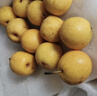 樱慕晴【JD地标认证】正宗辽宁鞍山南果梨东北特产南国梨香水梨新鲜水果 净重5斤【普装小果黄梨】约40枚 实拍图