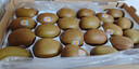 佳沛（zespri）新西兰  阳光金奇异果25-27粒原箱特大果单果约122-146g  猕猴桃 实拍图