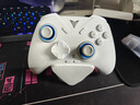 飞智冰原狼4多模版无线游戏手柄 类xbox 力调节摇杆双切扳机 switch电脑PC手机steam体感NS 丝之歌 实拍图