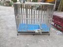 金百特 【不锈钢狗笼子】 金毛狗笼子中大型犬狗笼子宠物狗狗笼子狗屋高档狗别墅 长125*80*105【带蓝色垫板】+20cm狗碗 实拍图