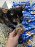 麦斯蒂猫咪零食益生元鸡肉猫条湿粮肉条成幼猫营养补水 鸡肉18g*101条 实拍图