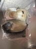 钓鱼记海鲈鱼块1斤(2袋装*250g) 免调味 冷冻 辅食 生鲜 海鲜鱼类 实拍图