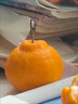 闽域寻鲜四川丑橘【源头直发】新鲜整箱水果应当季丑八怪柑橘不知火桔子 净重8斤【单果70-75mm】 表面有斑点属于正常现象 实拍图