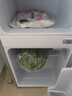 华宝小冰箱小型家用出租房用冷藏冷冻两用一级能效节能省电迷你宿舍寝室办公室二门电冰箱 【店长推荐】48L银色【三天不到一度电】 实拍图