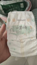 好奇（Huggies）深睡大师纸尿裤S56(4-8kg)尿不湿小森林Pro【新生顶配更深睡】 实拍图