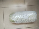 大白菜约2kg 实拍图