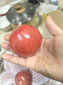 新鲜沙瓤大番茄生吃西红柿减肥早餐即食新鲜蔬菜生鲜单果＞100g 畅享装 3斤 净重 实拍图
