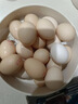 京鲜生鲜鸡蛋10枚/盒 健康轻食 营养健康1斤/盒 源头直发  实拍图