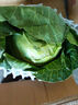 高原夏菜新鲜包菜卷心菜绿甘南菜甘蓝圆白菜时令蔬菜健康营养早餐 3斤带箱农家好菜 实拍图