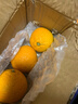 兀果语2025年云南密桔酸桔子当季薄皮橘子孕妇新鲜水果爆汁无核青 2斤 实拍图