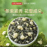 乐品乐茶茉莉花茶特级茶叶2025新茶川派250g横县飘雪自己喝送礼袋热门商品 实拍图