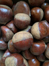 【东东农场专供】25年丹东新板栗生板栗炒菜专用新鲜蔬菜生鲜 25年新下树 2斤 送栗爪 实拍图