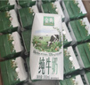 伊利金典纯牛奶整箱 200ml*24盒 3.6g乳蛋白 原生高钙 礼盒装 实拍图