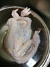 温氏 供港黄油鸡2斤 冷冻 黄油母鸡农家土鸡整鸡 散养 鸡肉 实拍图
