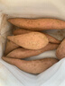 佳农宝菜山东哈密白心红薯哈密冰糖蜜薯单果约100g+净重4.5斤源头直发 实拍图