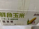 北大荒东北黄糯玉米棒 真空非转基因鲜食玉米黏玉米 4斤 8根 实拍图
