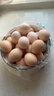 【无抗】大码鲜鸡蛋1.8kg 实拍图