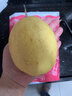 京鲜生 河北鸭梨 地标产品 净重5斤 单果250g+ 生鲜水果礼盒 实拍图