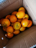 【热销】湖北秭归脐橙鲜果上市 净重9斤70-75m 实拍图