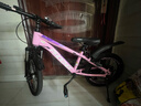 凤凰儿童山地自行车5-8-12-18岁青少年男女孩碟刹减震变速18寸粉色 实拍图